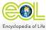 EOL logo