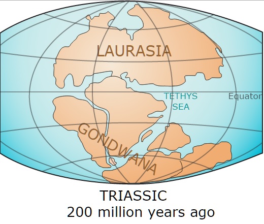 Laurasia Gondwana.jpg