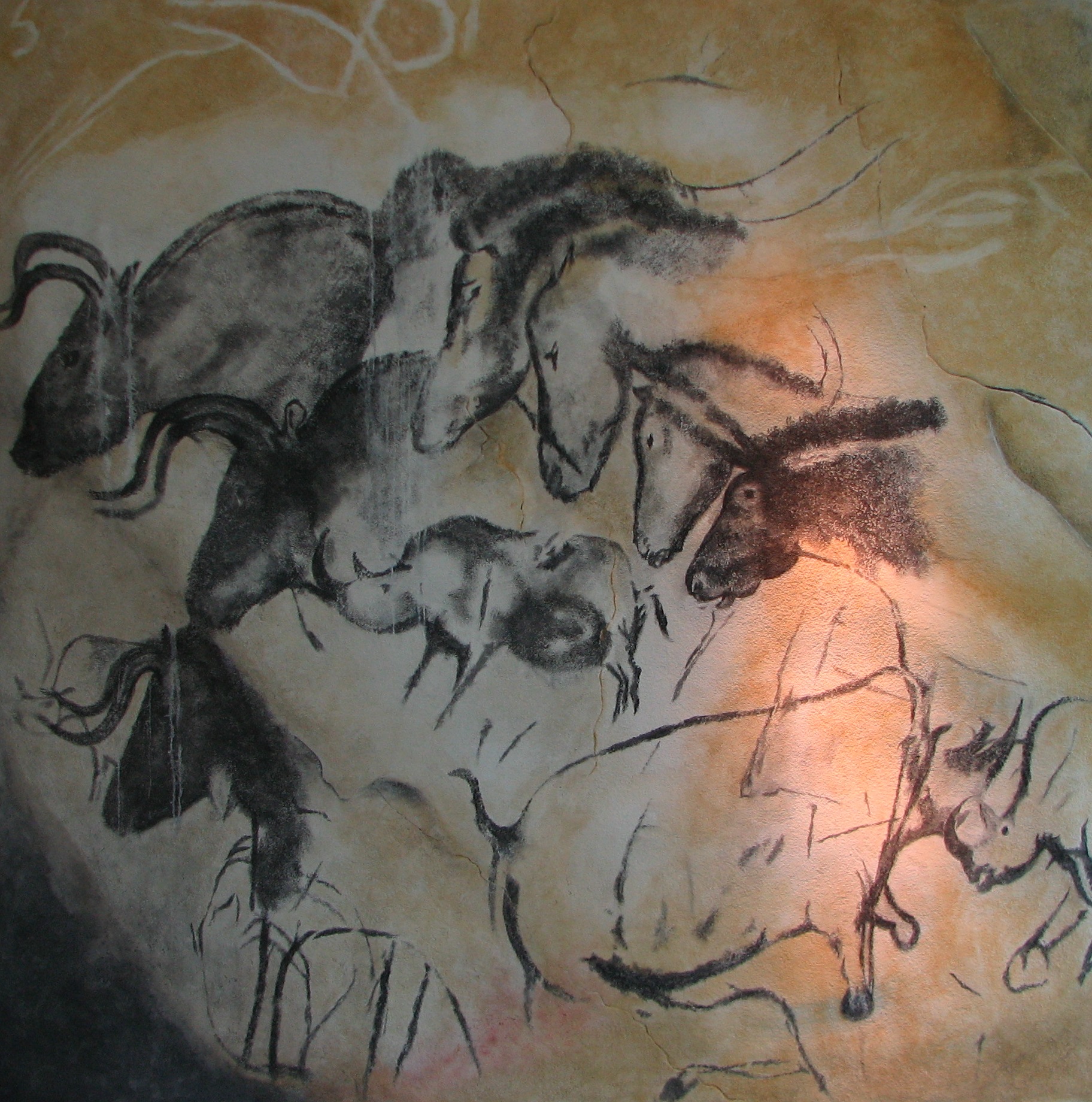 Chauvet cave art